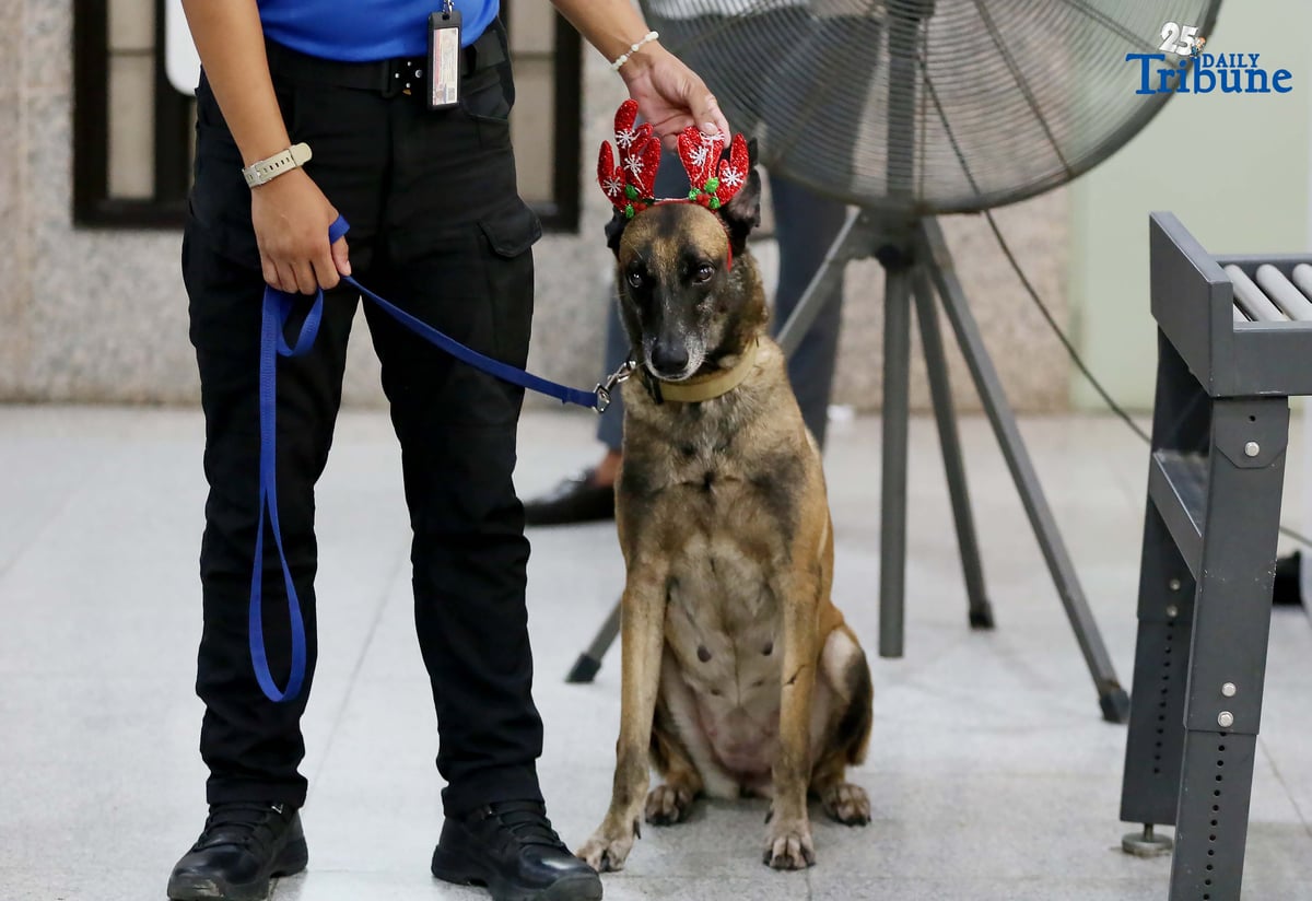 K9 unit adds holiday cheer while guarding Ombudsman office