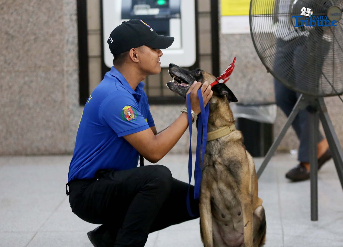 A K9 handler holds his trained partner, a K9 dog dressed in Christmas accessories, while on duty at the Office of the Ombudsman in Quezon City.