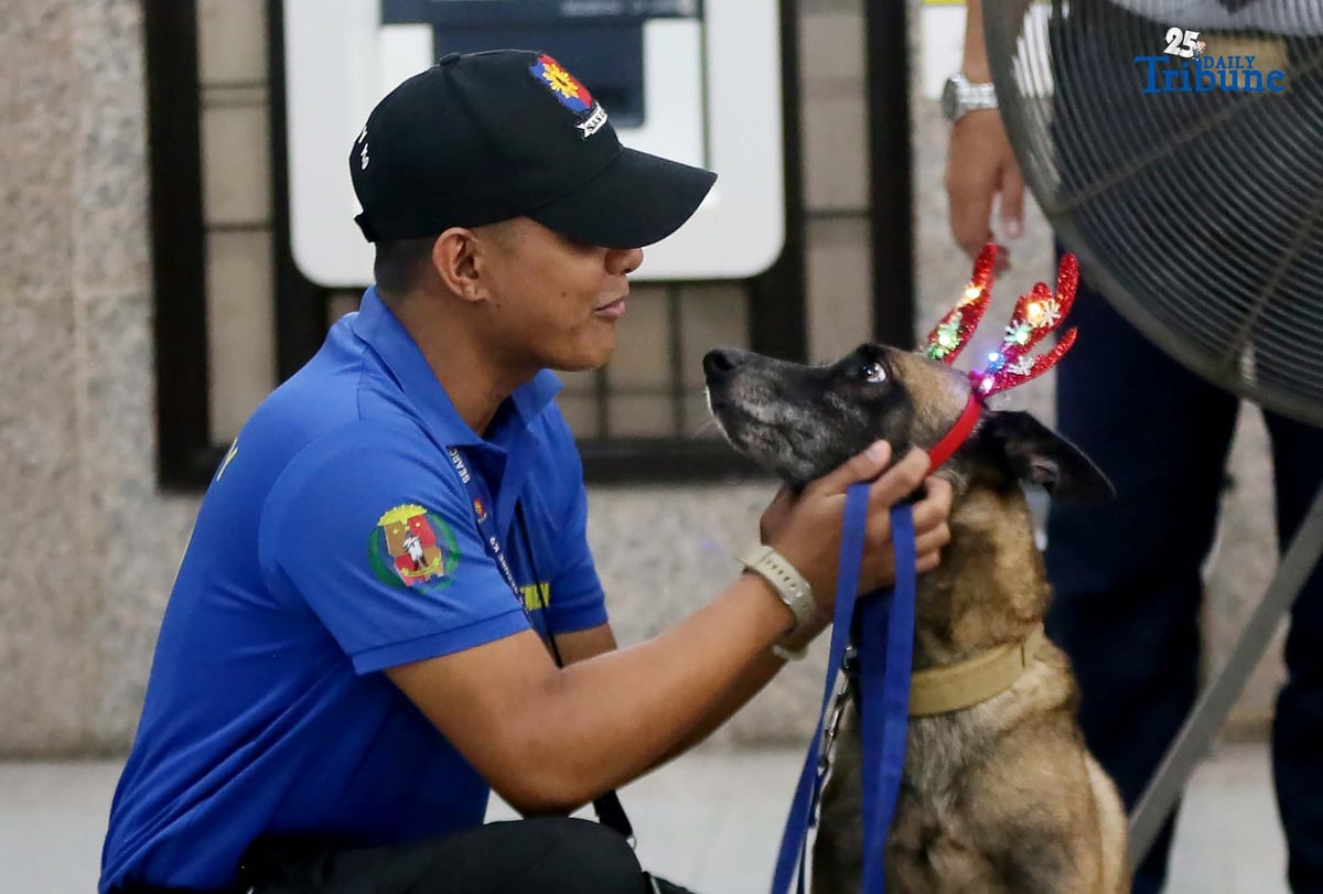 A K9 handler holds his trained partner, a K9 dog dressed in Christmas accessories, while on duty at the Office of the Ombudsman in Quezon City.