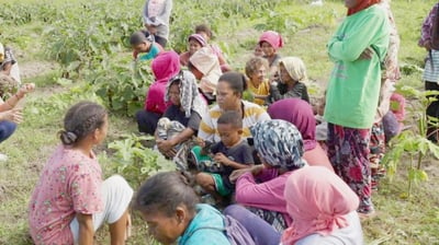 Aeta farmers see bountiful harvest