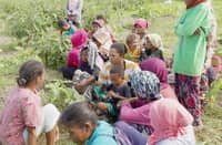 Aeta farmers in Floridablanca, Pampanga wait for the aid to be provided by the Department of Social Welfare and Development that will help them to become economically stable through a self-sustaining community.