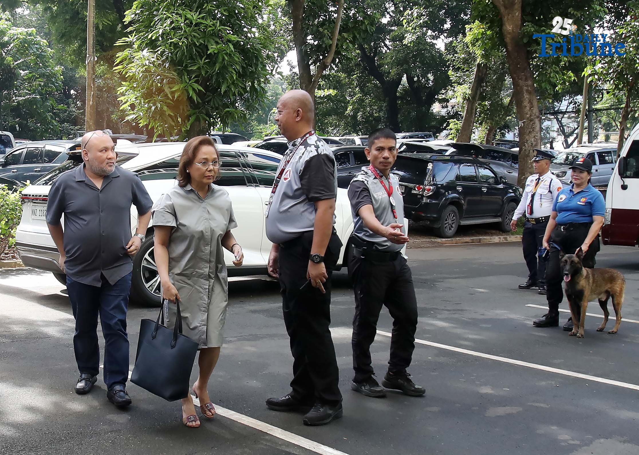 Sandiganbayan defers Gigi Reyes PDAF case ruling to 24 October 