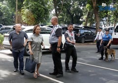 Sandiganbayan defers Gigi Reyes PDAF case ruling to 24 October 