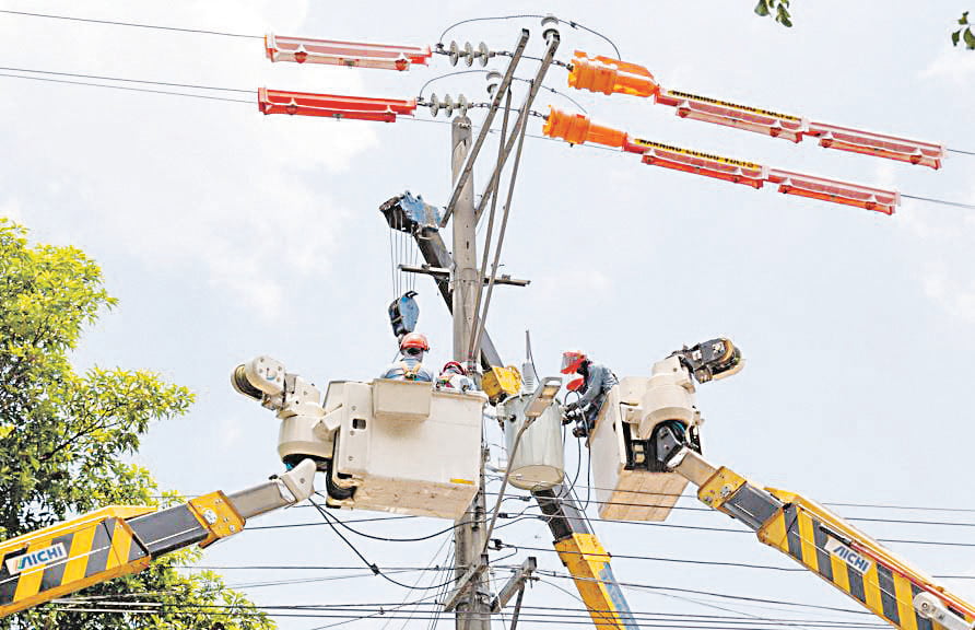 Meralco powers sustainability  through  ‘Greening  the Network’ Program
