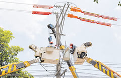 Meralco powers sustainability through ‘Greening the Network’ Program