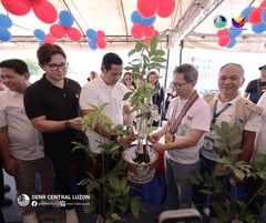 Bulacan receives 2,410 bamboo propagules and fruit-bearing tree seedlings