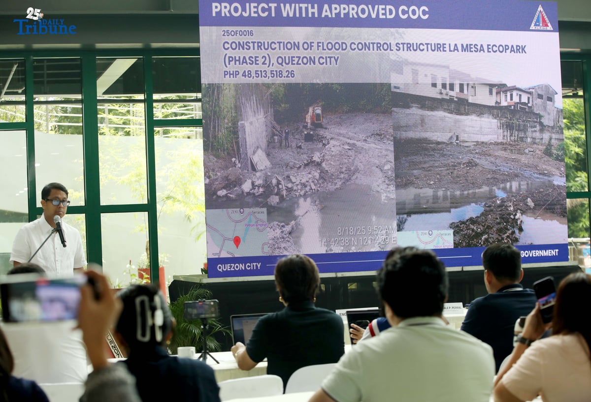 QC flags 331 flood projects misaligned with drainage plan, P17B wasted