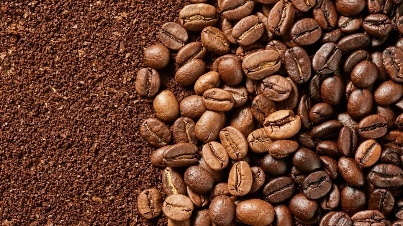 Sultan Kudarat coffee farmers get huge boost