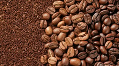 Sultan Kudarat coffee farmers get huge boost