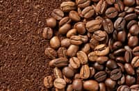Sultan Kudarat coffee farmers get huge boost