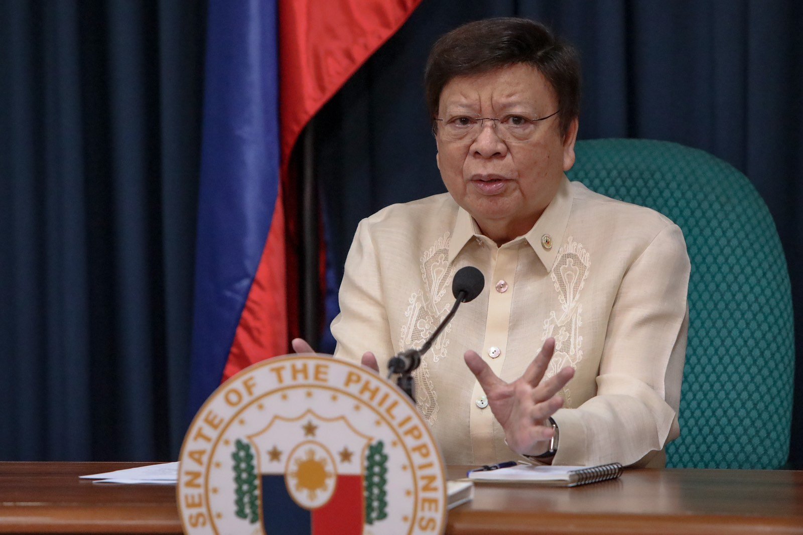 Ombudsman considers Marcoleta, others 'flight risks' amid plunder case