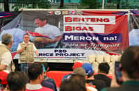 DA widens P20 rice program, targets 60M Filipinos by 2026