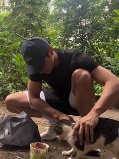 Joseph Marco finds soft spot for stray cats