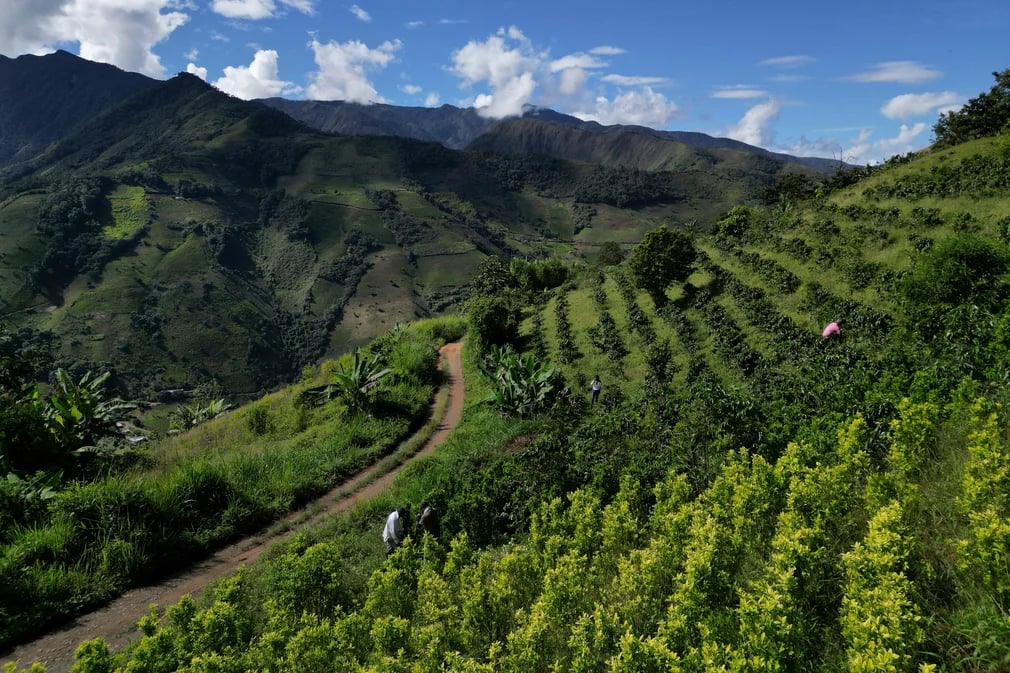 U.S. decertifies Colombia as drug fight ally
