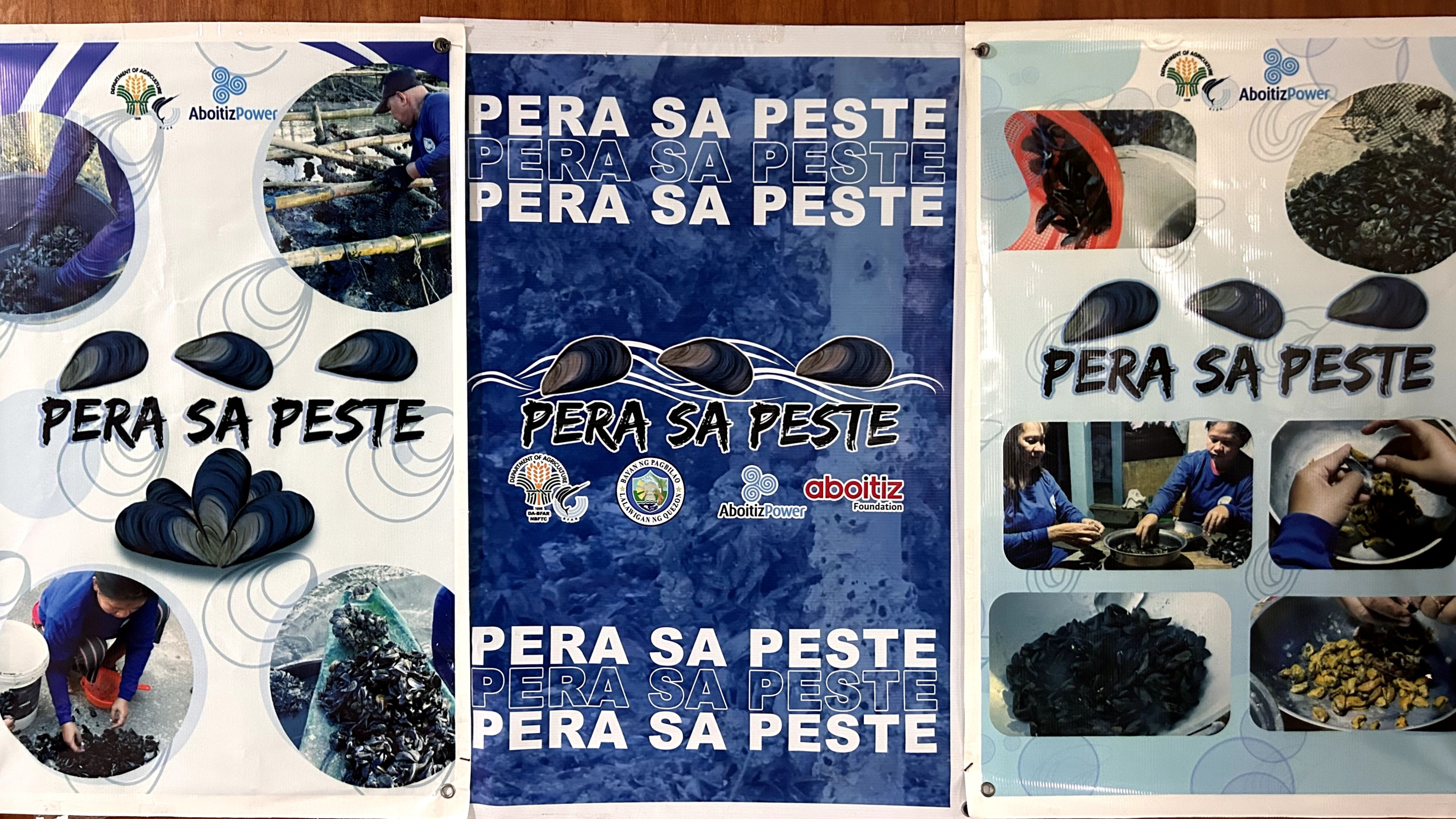 BFAR, Aboitiz launch Pera sa Peste Phase 2 in Quezon
