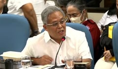 Catapang confirms Fides Lim entry ban during budget hearing
