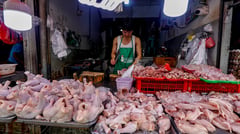 DA bans Argentine poultry imports to shield local industry
