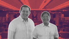 Romualdez: I never asked for any favors or special treatment
