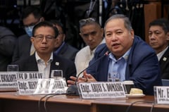 Alcantara called to testify in river dike malversation trial