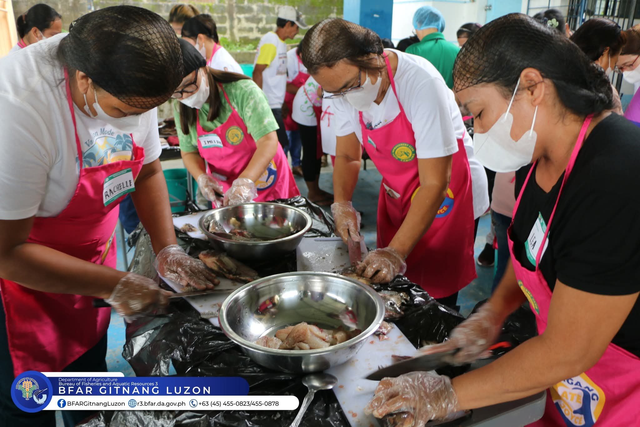 Tarlac fisherfolk trained on value-added fish products
