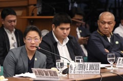 Remulla: Curlee Discaya under evaluation for witness protection program