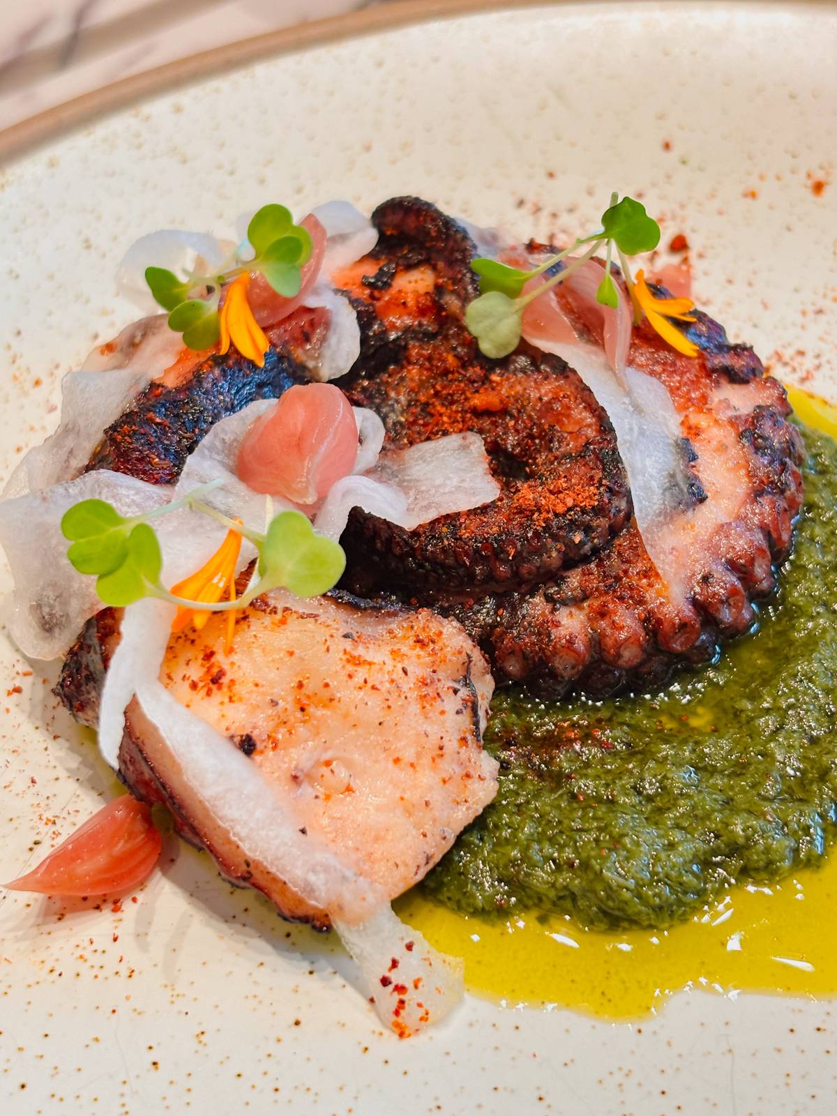 Succulent pulpo, with shisho gremolata