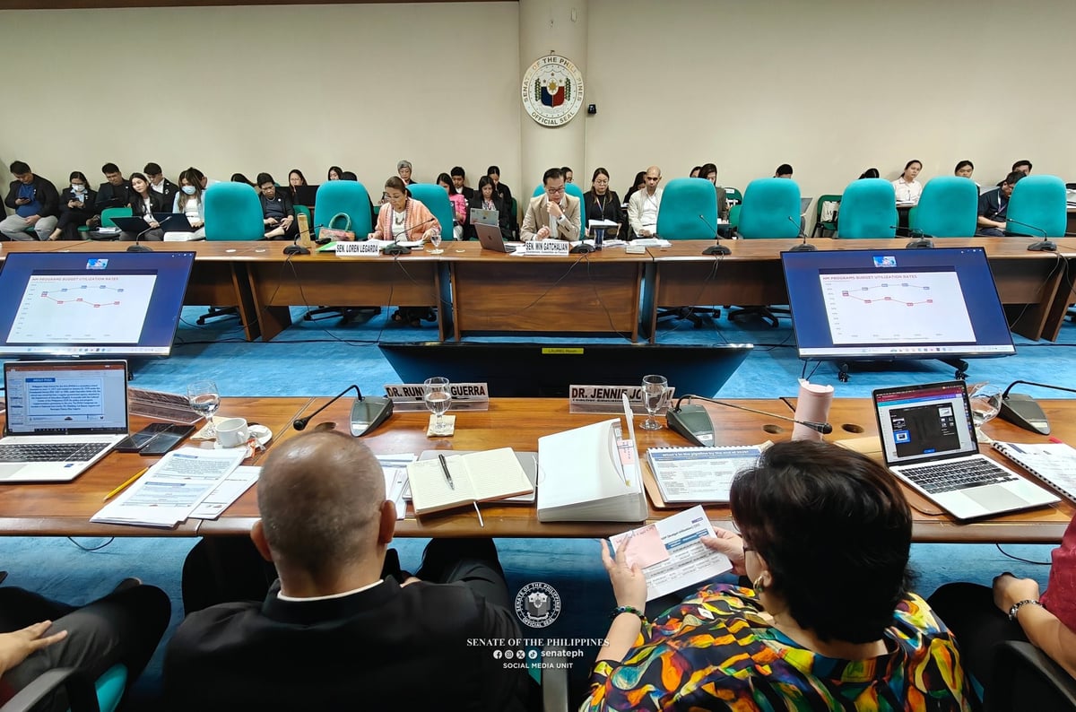 Senators stress culture & arts’ role in nation-building