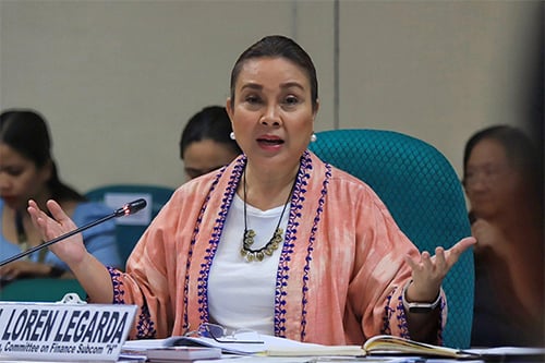 Senators stress culture, arts nation-building role
