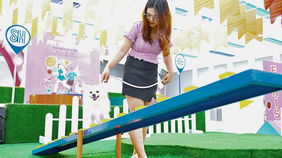 At SM, pets are always welcome! With paw parks, pet-friendly dining, and fun events like the SM Summer Pet Olympics, your furbabies can stroll, play, and shine with you..