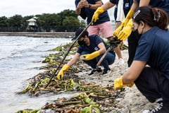 International Coastal Clean-Up Day at Manila Bay
