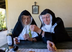 Rebel octogenarian nuns reclaim Austrian convent