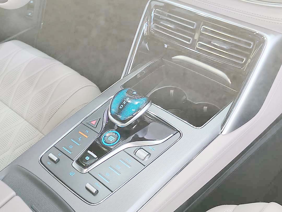 GEAR selector and controls of the Tang DM-i highlight its modern layout.