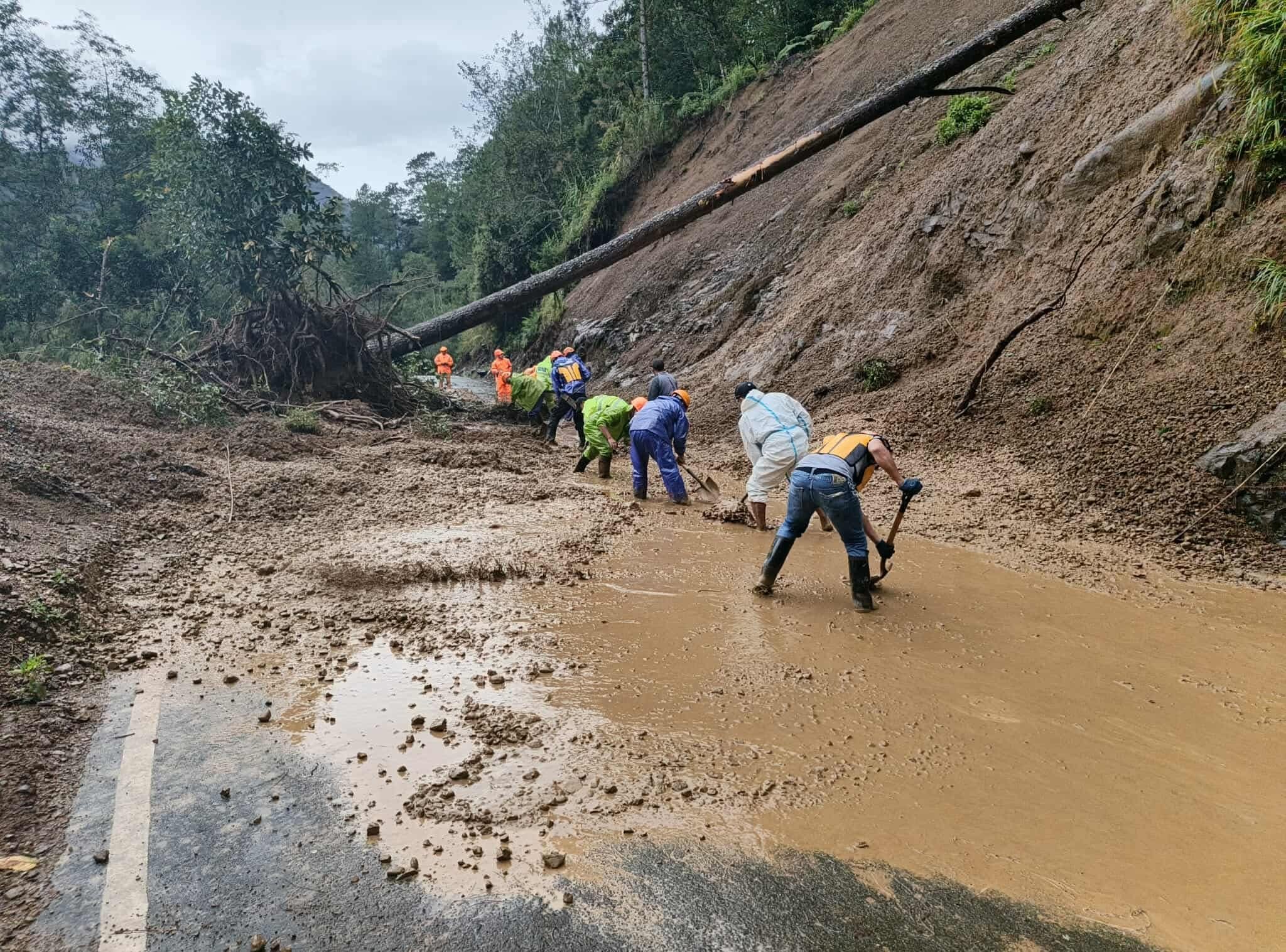 Typhoon onslaughts yield P1.38-B agri damages