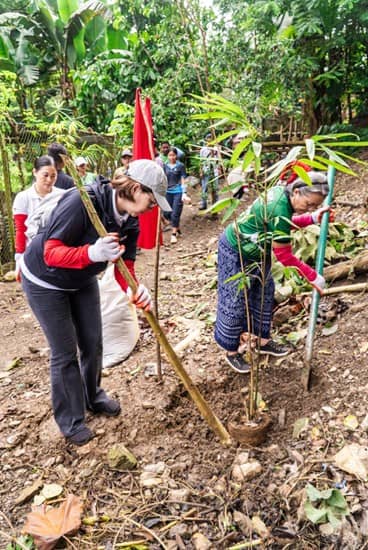 Aboitiz Foundation President Ginggay Hontiveros-Malvar and Barangay Captain of Buot-Taup Rosalita Callino lead the planting of bamboo seedlings during World Bamboo Day in Cebu, part of Aboitiz's goal to grow 10 million trees under CarbonPH's flagship program.