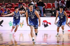 Torres nails game-winning triple as Adamson humbles UP
