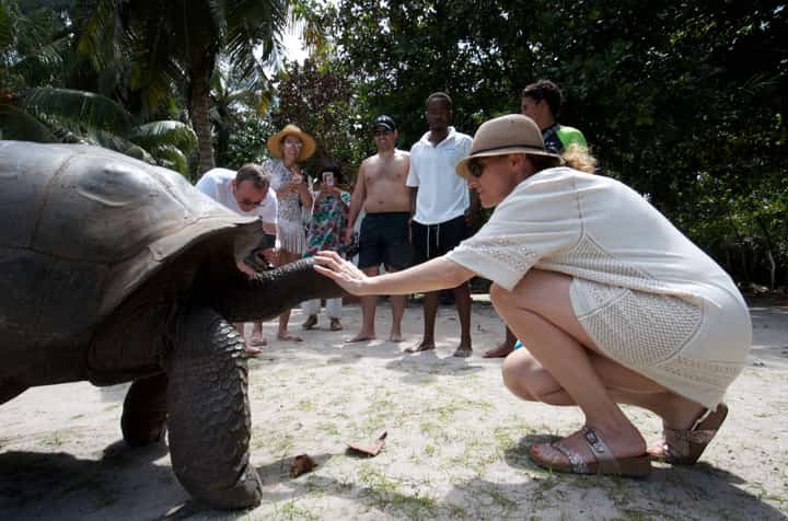 CAN Aldabra giant tortoise bring swing votes for Seychelles’ presidential contender Patrick Herminie?