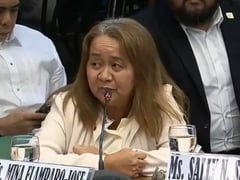 DOJ admits Sally Santos provisionally to WPP, Guteza no show

