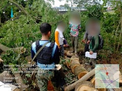 Four arrested for illegal logging in Dinalupihan