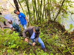 Zambo Norte town plants 500 bamboo saplings