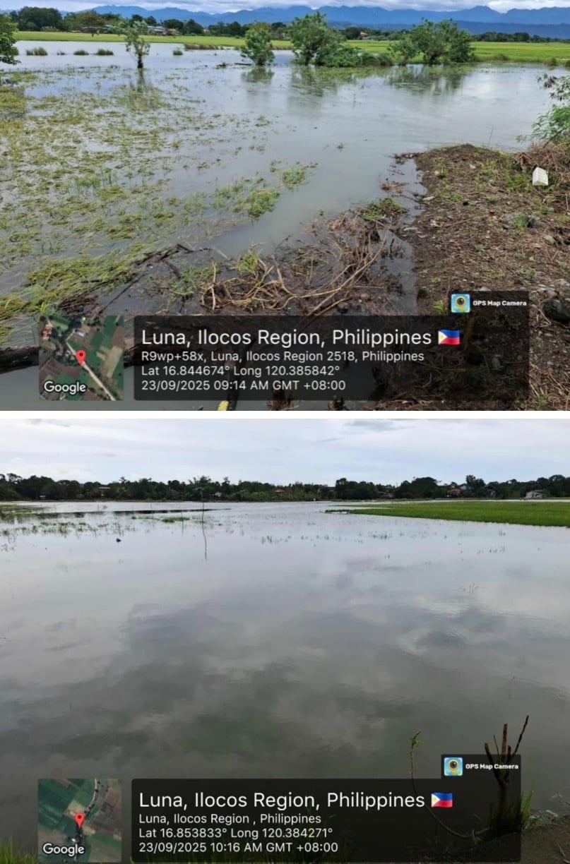 Nando leaves P98.9M in crop, irrigation damages in Region 1