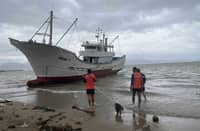 A fishing vessel runs aground just 10 meters from the shoreline of Sitio Pamustusin in Barangay Harrison, Paluan, Occidental Mindoro. The Philippine Coast Guard has been closely monitoring the situation involving the vessel FV JISHUN 2.