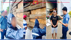 P1.3M illegal lumber seized in Santiago City
