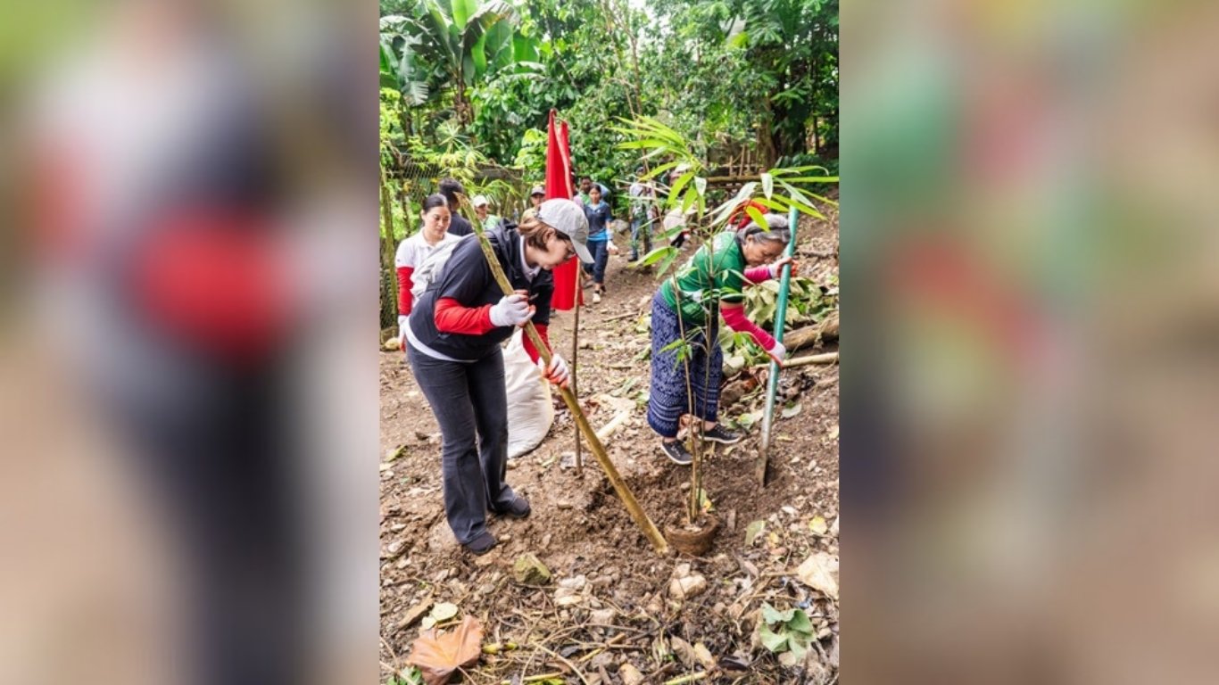 Ten million trees for healthy watersheds