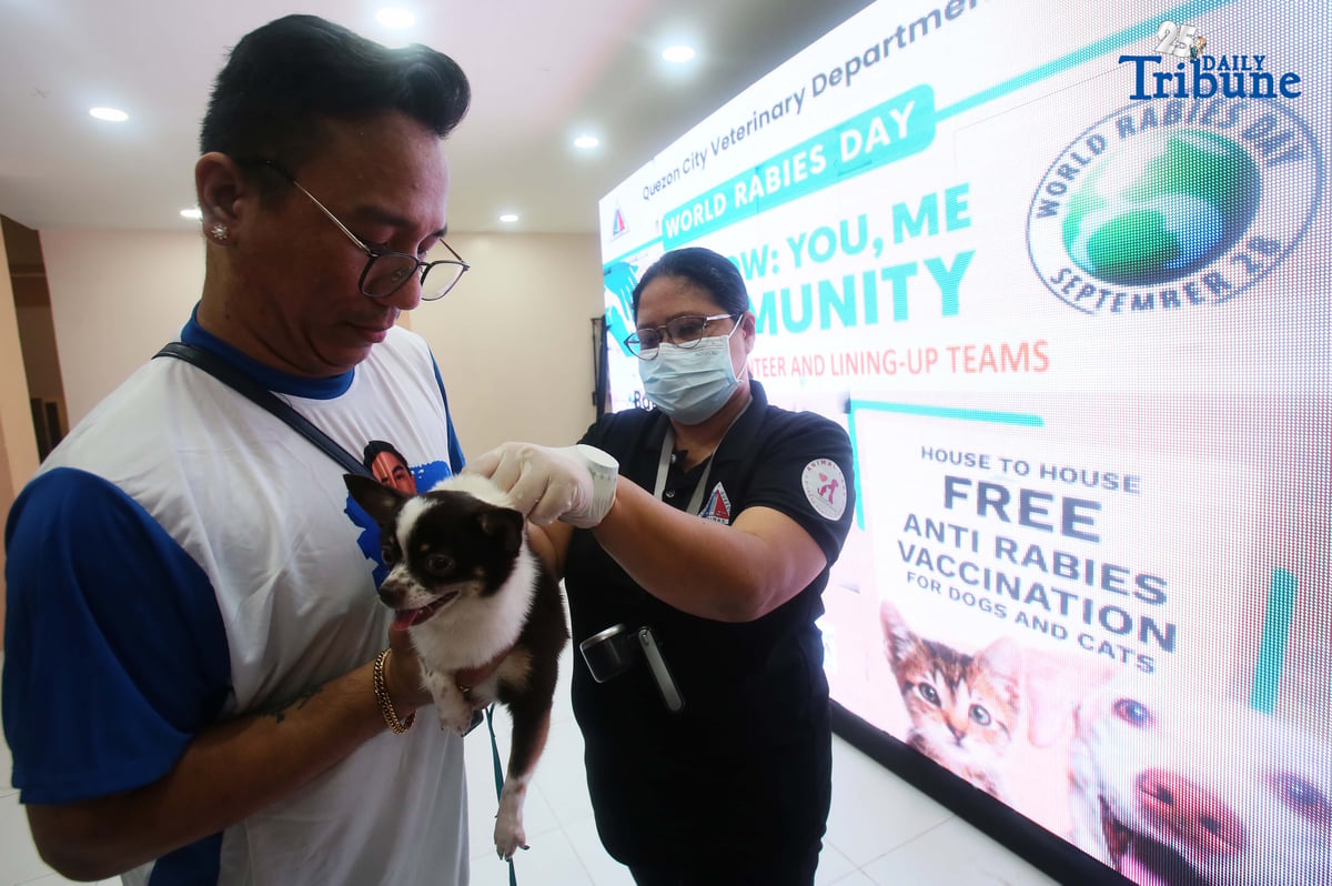 (September 29 2025) In celebration of World Rabies Day, Quezon City Veterinary Department, conduct a house to house Anti Rabies vaccination program with the theme “Act Now: You, Me, Community.”, This initiative is part of the city’s commitment to the Global Strategic Plan “Zero by 30”, which seeks to eliminate human deaths caused by dog-mediated rabies by 2030 through mass vaccination programs.