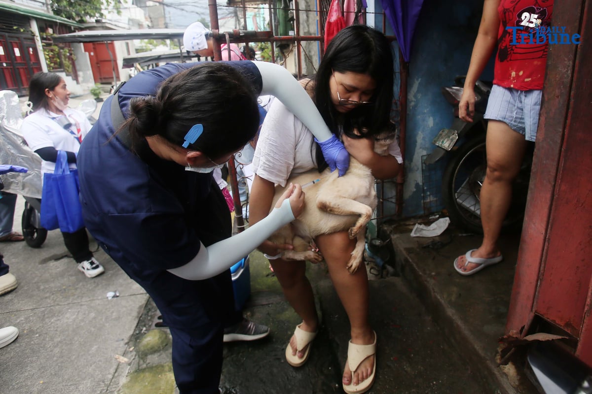 (September 29 2025) In celebration of World Rabies Day, Quezon City Veterinary Department, conduct a house to house Anti Rabies vaccination program with the theme “Act Now: You, Me, Community.”, This initiative is part of the city’s commitment to the Global Strategic Plan “Zero by 30”, which seeks to eliminate human deaths caused by dog-mediated rabies by 2030 through mass vaccination programs.