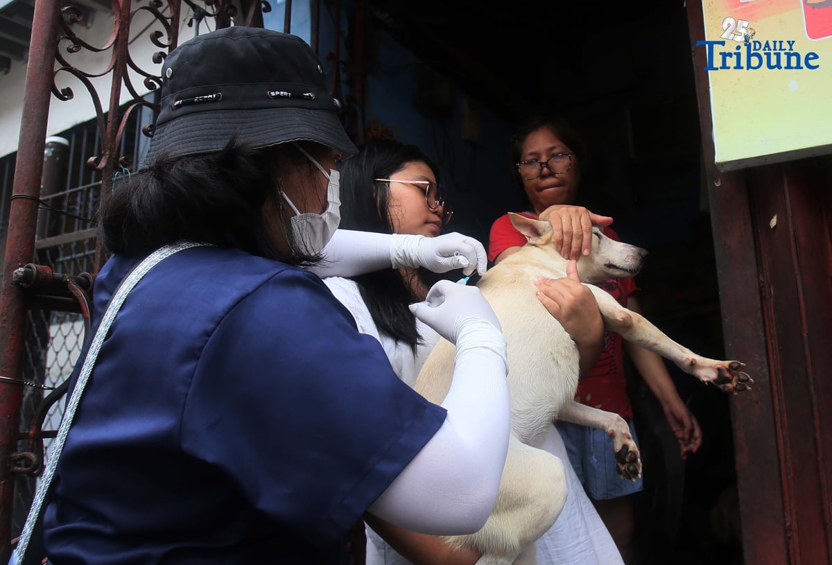 (September 29 2025) In celebration of World Rabies Day, Quezon City Veterinary Department, conduct a house to house Anti Rabies vaccination program with the theme “Act Now: You, Me, Community.”, This initiative is part of the city’s commitment to the Global Strategic Plan “Zero by 30”, which seeks to eliminate human deaths caused by dog-mediated rabies by 2030 through mass vaccination programs.