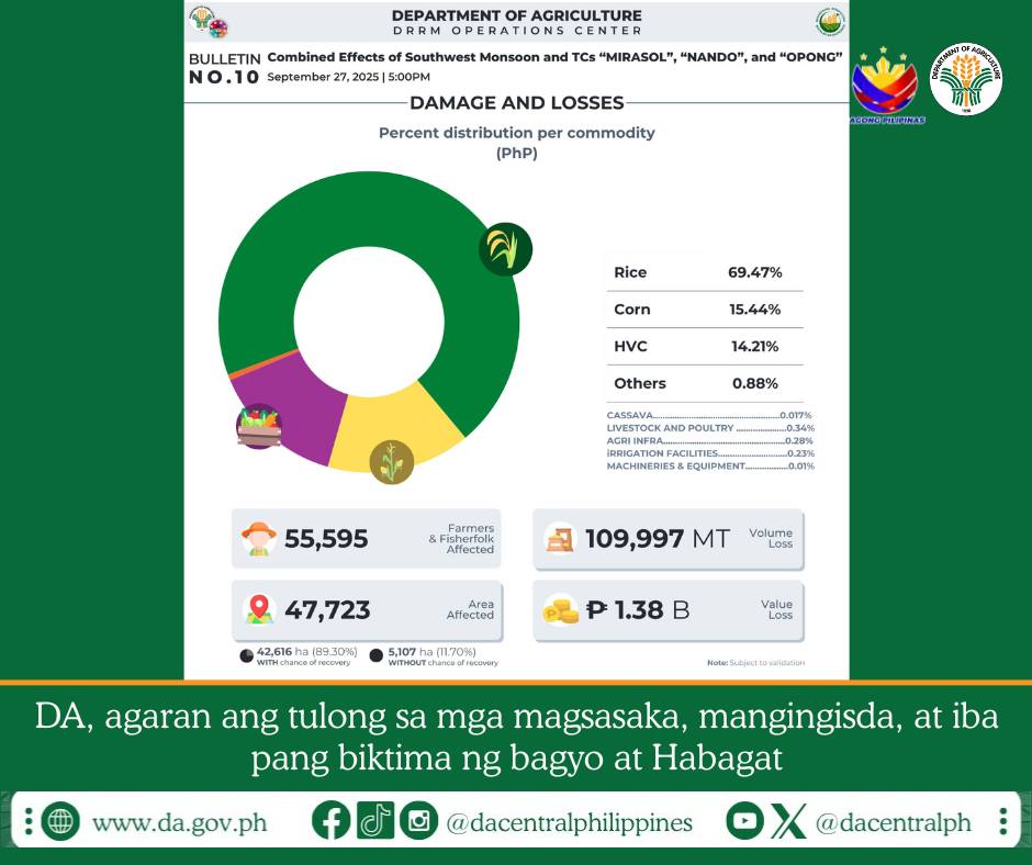 P1.38B in agricultural losses reported after typhoons
