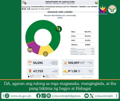 P1.38B in agricultural losses reported after typhoons
