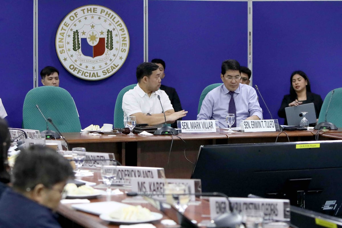 Mark, Erwin call for transparent, responsive infra budget review