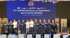 Tiu-Laurel assumes AMAF 2026 chairmanship
